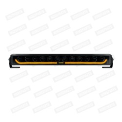 DARK KNIGHT IDENTITY 20"