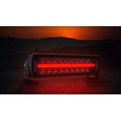 Siberia Red Tiger 12''