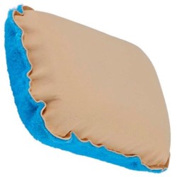 Pesusvamm narmaste ja putukapuhastus