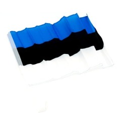 Autolipp EESTI 30*45, plastik vars