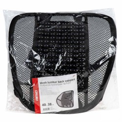 Networked networking in the backbone of the muse