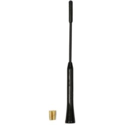 Roof antenna with amplifier AM/FM,20cm,M5,M6