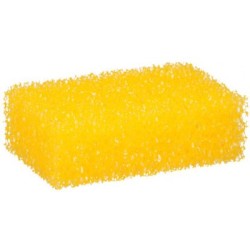 Washing and insect removal brush 11*7*4cm